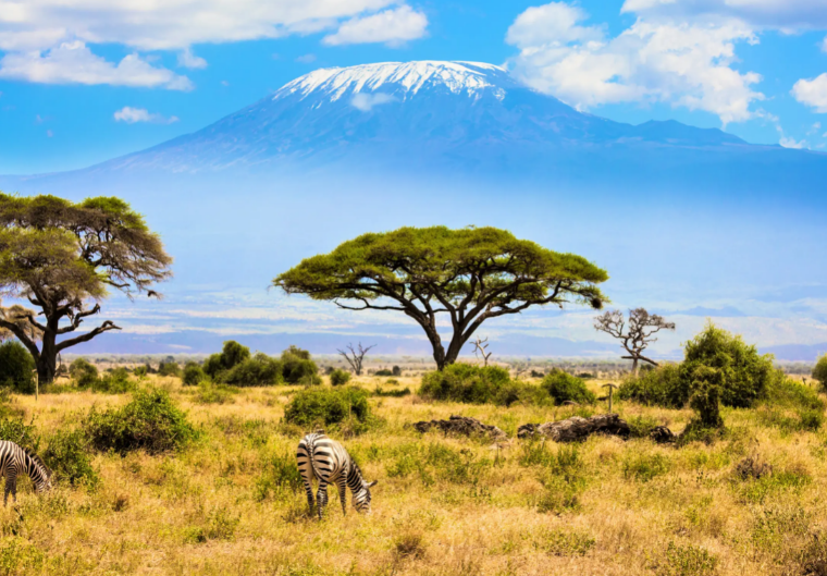 Mount Kilimanjaro Africa’s Tallest Mountain