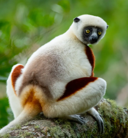 Three Reasons You Should Visit Madagascar
