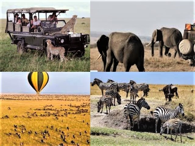 What To Expect on a Safari to the Masai Mara from Nairobi Kenya?