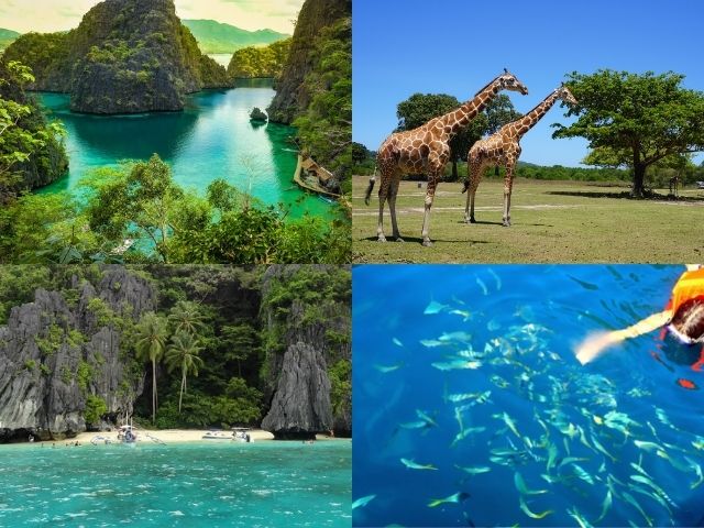 Palawan the Philippines and What It Has to Offer