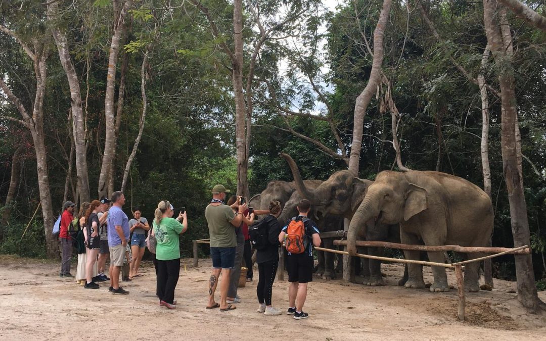Save the Elephant Day - Kulen ELephant Sanctuary, Cambodia